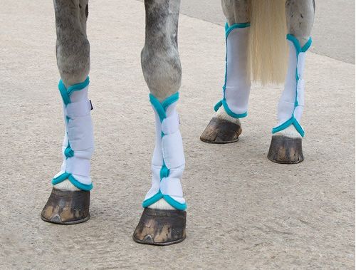 Shires Airflow Turnout Socks - White