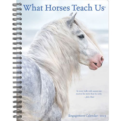 What Horses Teach Us 2023 12 Month Engagement Calendar