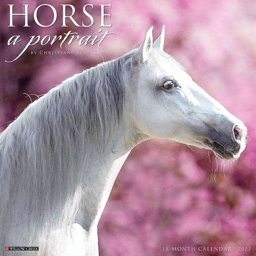 Horse A Portrait 2023 18 Month Calendar