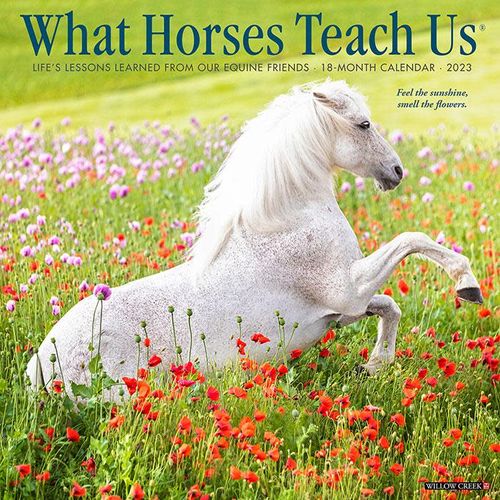 What Horses Teach Us 2023 18 Month Calendar