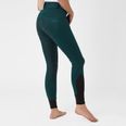 Ponderosa Pine Dark Green