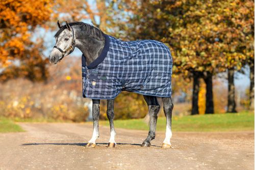 Rhino Original Stable Blanket 250g - Navy Check/Indigo