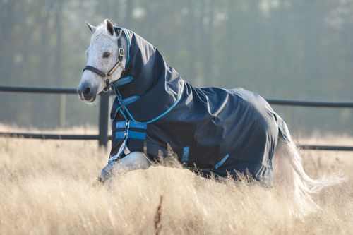 Amigo Bravo Pony Plus Turnout 250g - Navy/Turquoise/Aqua/Blue