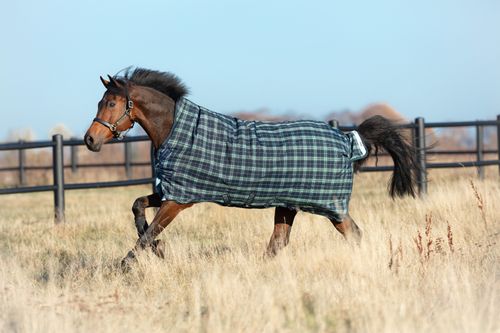 Rhino Wug Turnout w/Leg Arches 100g - Hunter Check/Navy/Green