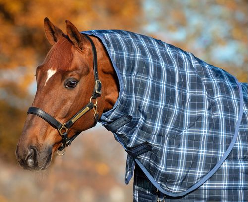 Rhino Stable Hood 150g - Navy Check/Indigo