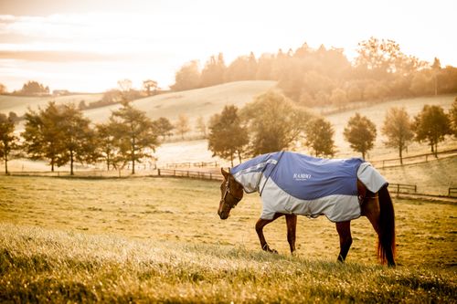 Rambo Autumn Series - Navy/Grey