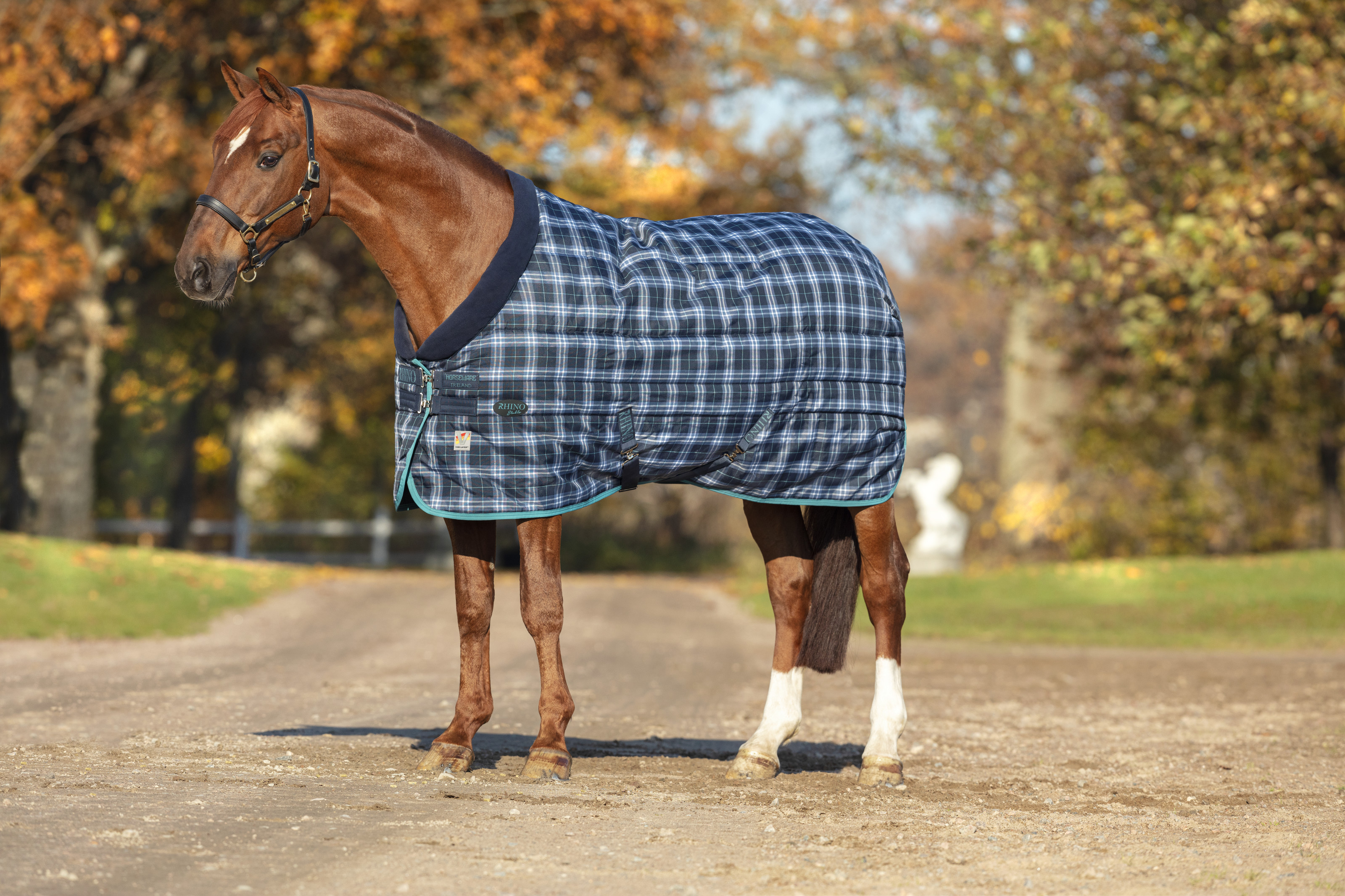 Rhino Original Stable Blanket 450g Navy Check/Teal RhinoABBV83C3D0