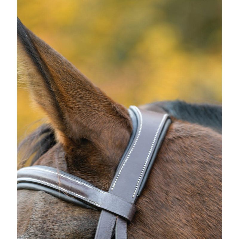 Shires Avignon Ocala Bridle - Thumbnail 2