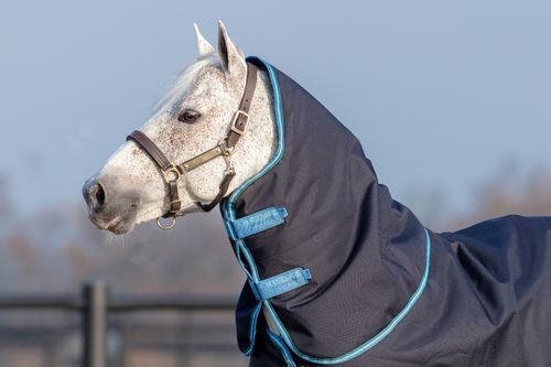 Amigo Bravo 12 Plus Disc Closure Turnout Bundle - Navy/Turquoise/Aqua/Blue