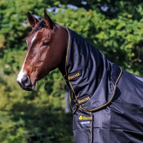 Bucas Irish Combi Neck - Navy/Gold