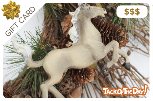 $5-$500 Tack of the Day Gift Certificate - Christmas Wreath