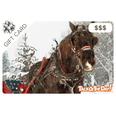 Horse Sleigh