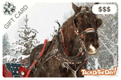 $5-$500 Tack of the Day Gift Certificate - Christmas Horse Sleigh