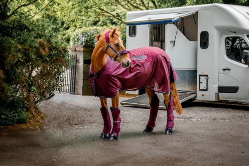 Rambo Travel Series - Burgundy/Teal/Navy