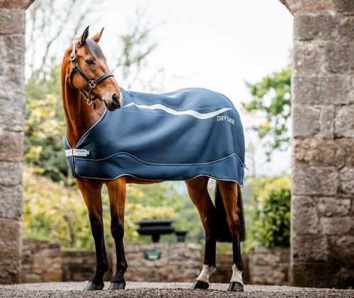 Horseware Dry Liner - Navy/Silver