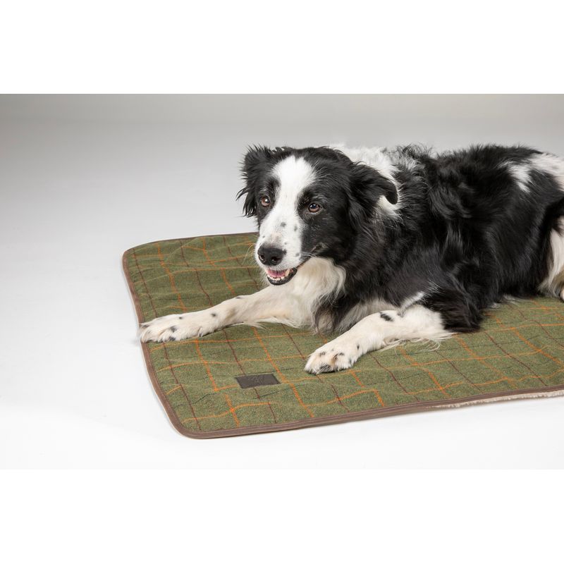 Tweed dog blanket sale