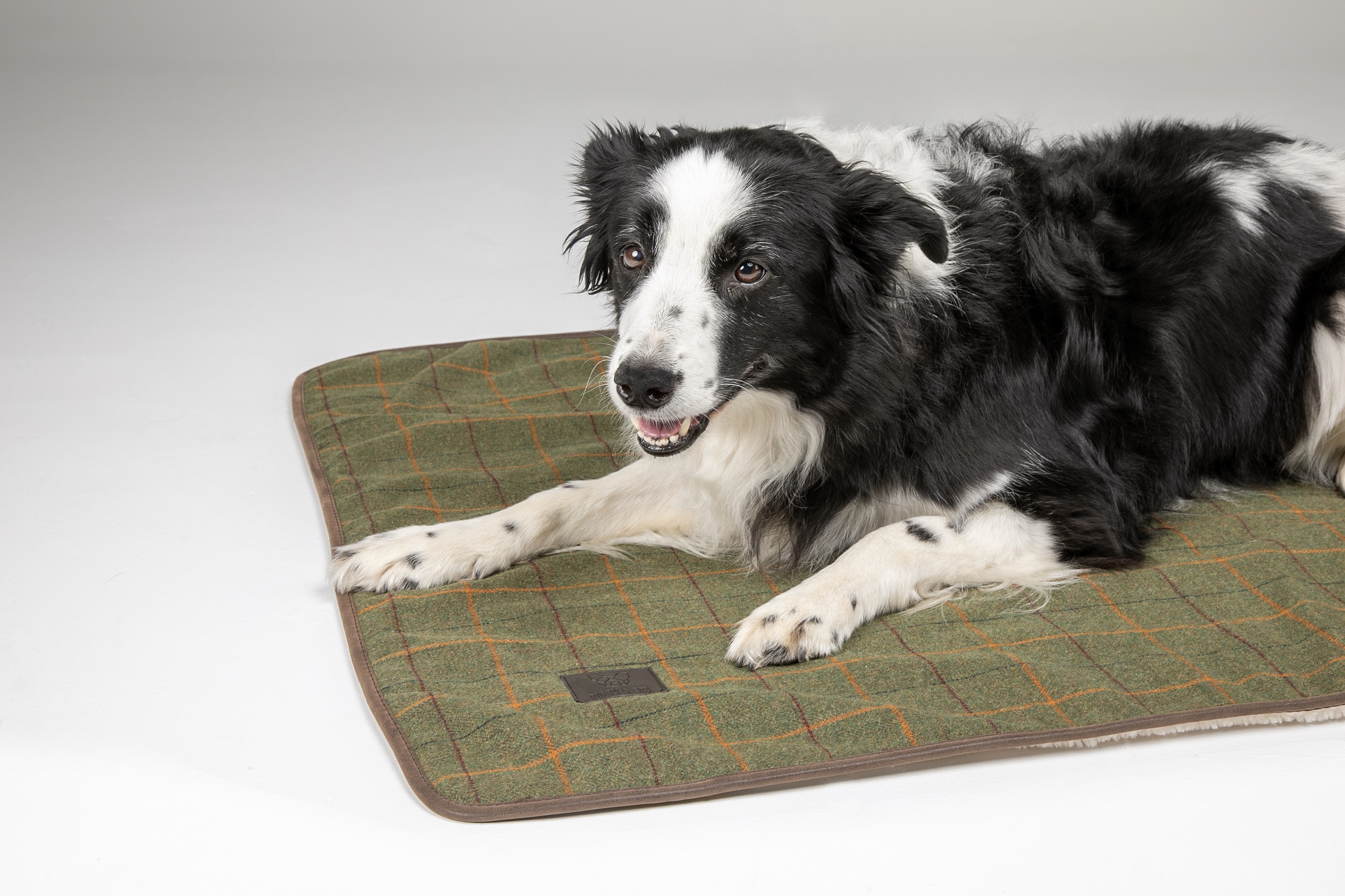 Digby Fox Tweed Dog Blanket Red Yellow Blue Digby Fox 6877 R Y B Tack Of The Day