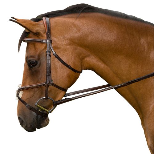 M. Toulouse Amelie Figure-8 Jumper/Eventing Bridle - Chocolate/Cognac