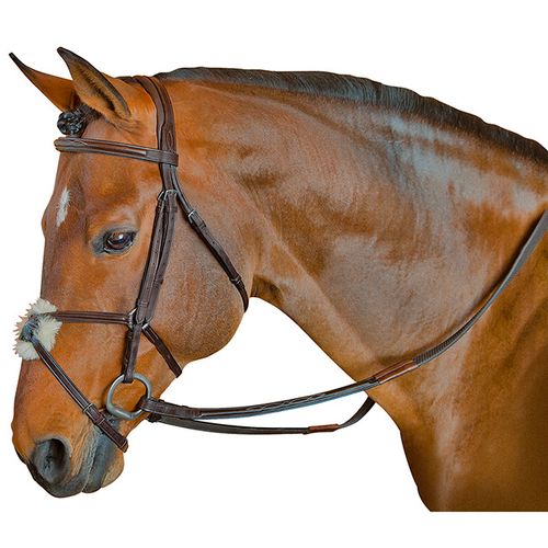 M. Toulouse Classic Figure 8 Bridle - Chocolate