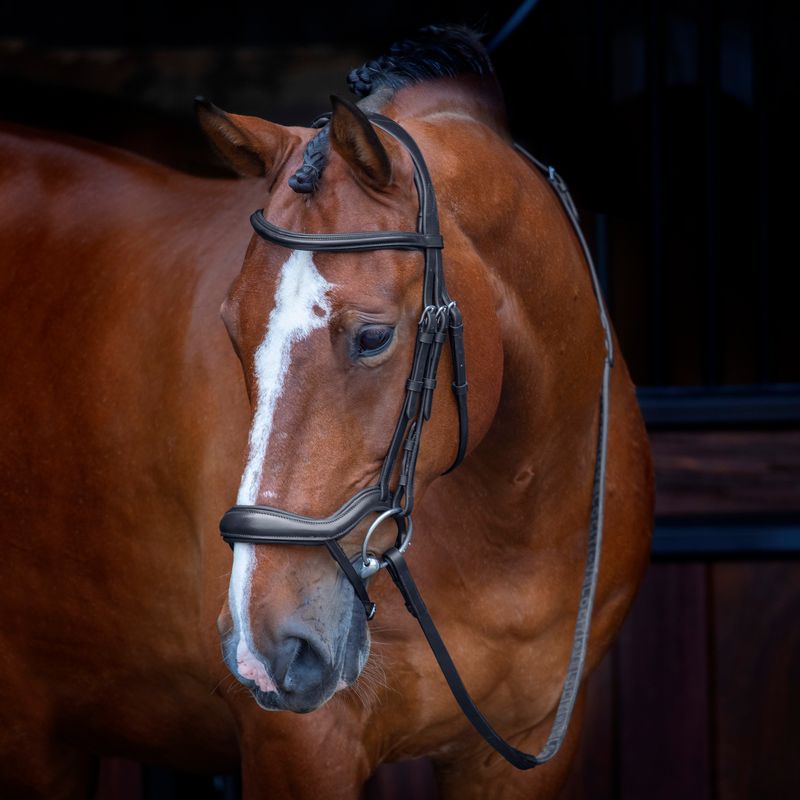 Museruola Shires Velociti RAPIDA: Ergonomica, Curva E Imbottita Per Il Comfort Del Cavallo (Cob, Havana)