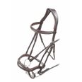 Shires Velociti Rapida - Naseband ergonomico curvo Flash (Pony, Havana