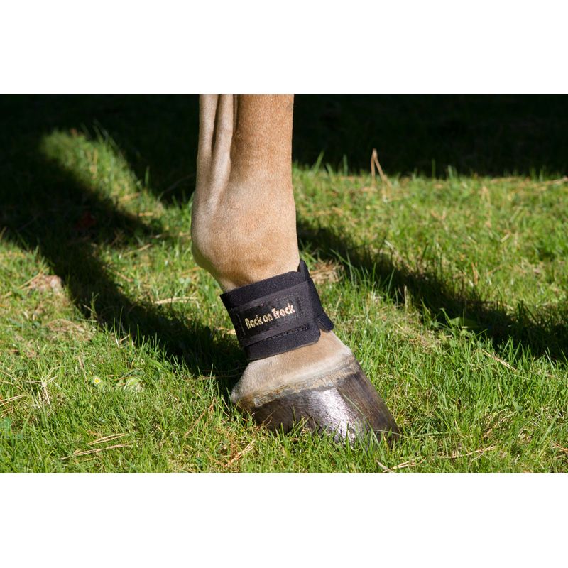 Back on track hot sale fetlock boots