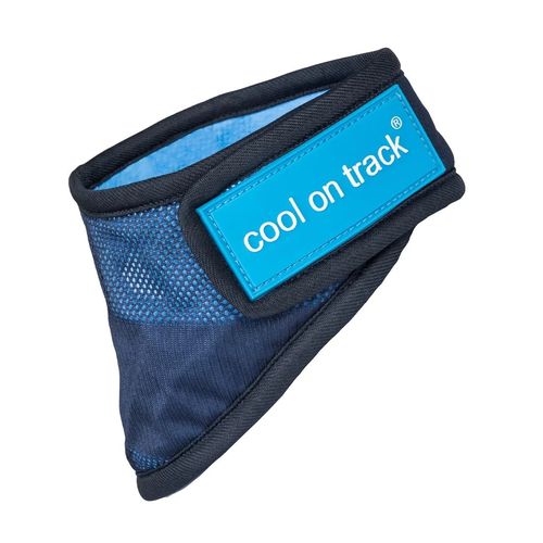 Back on Track Cool on Track Bandana - Blue