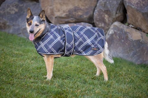 Kensington Signature Dog Coat w/Chest Cover - Deluxe Black