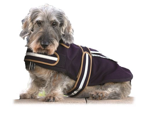 READY TO SHIP: Western Rawhide Century Tiger Softshell Dog Coat - 24 - Navy