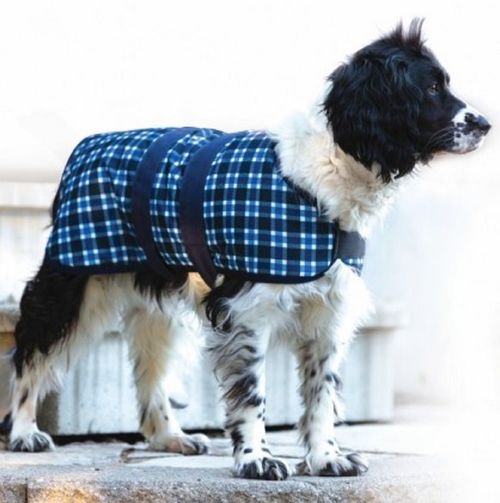 READY TO SHIP: Western Rawhide Century Tiger Dog Coat - 8 - Antique Brown Plaid