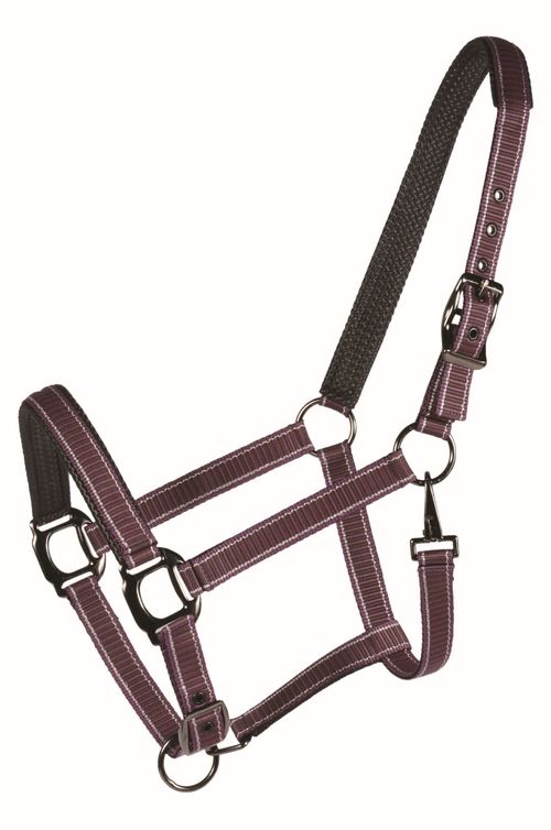READY TO SHIP: Western Rawhide Country LegendDesigner Padded Halter - Pony - Purple/Brown