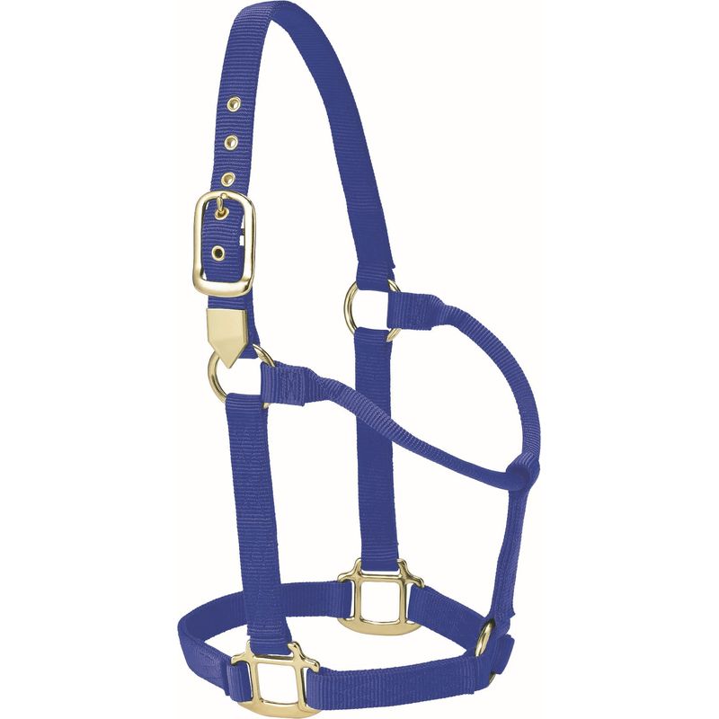 Classib Western Raw Leather Halter With Carabiner Hook - Blue
