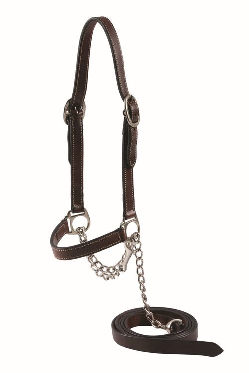 READY TO SHIP: Western Rawhide Country Legend Cow Halter - Average - Dark Oil