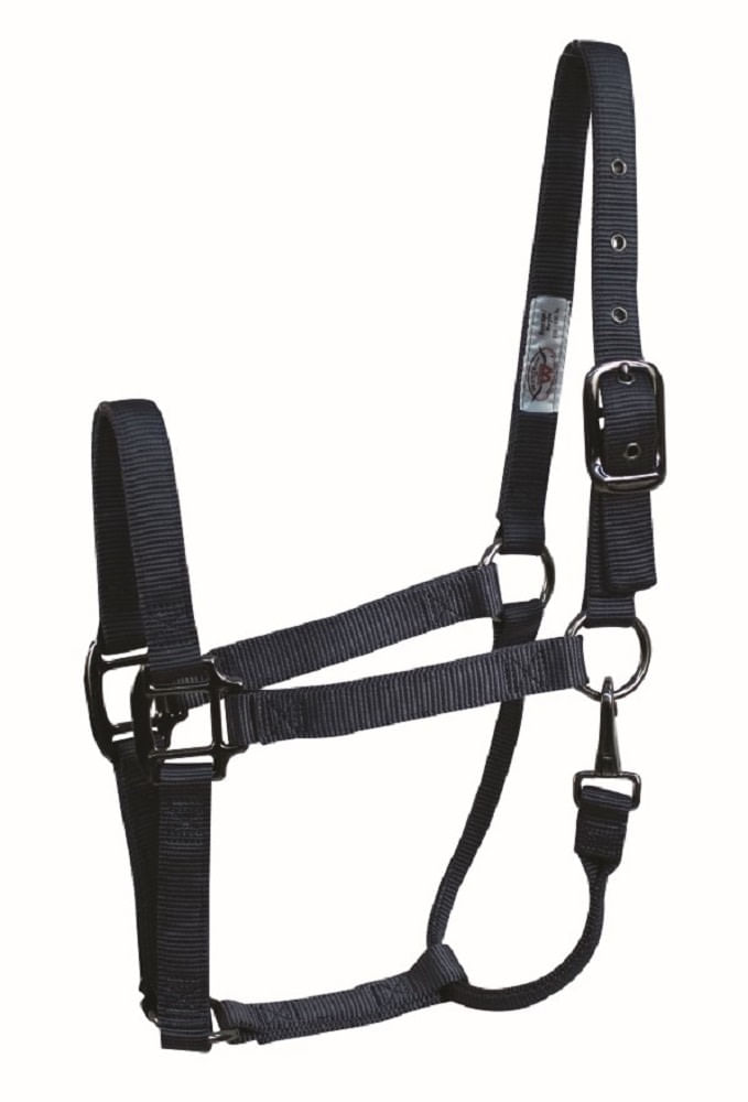 READY TO SHIP: Western Rawhide Signature Fashion Halter w/Black Nickel  Finish Hardware - Horse - Iron Blue