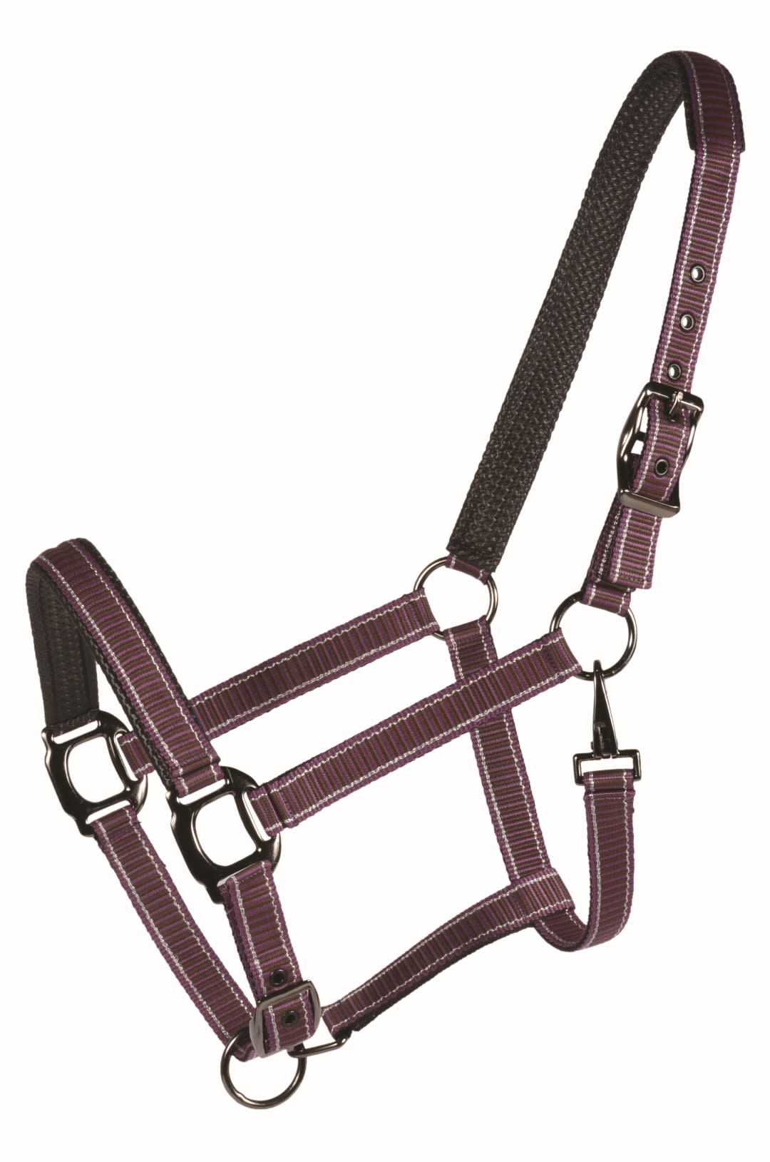 READY TO SHIP Country Legend Designer Padded Halter Horse Purple