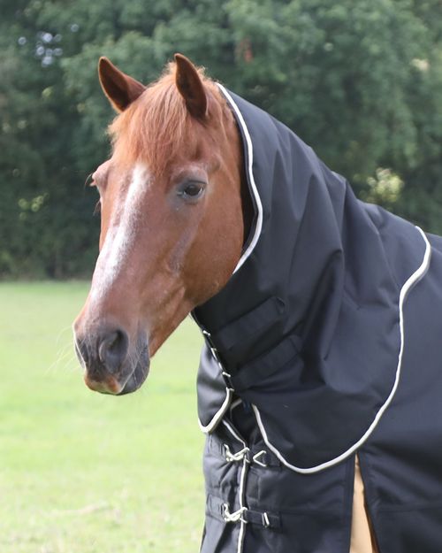 Shires Highlander Plus 200G Neck Cover - Black/Gold