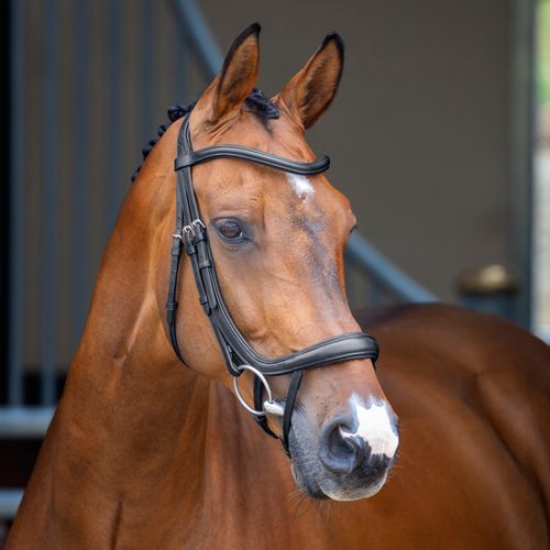 Shires Velociti Lusso Ergonomic Curved Flash Bridle - Black