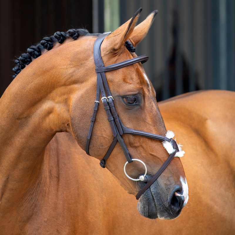 Shires Velociti Lusso Bridle