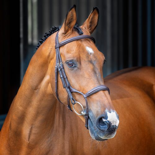 Shires Velociti Lusso Rolled Padded Cavesson Bridle - Havana