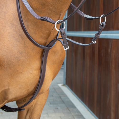 Shires Velociti Lusso Running Martingale - Havana