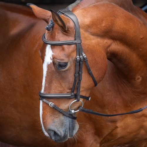 Shires Velociti Rapida Padded Raised Flash Bridle - Black