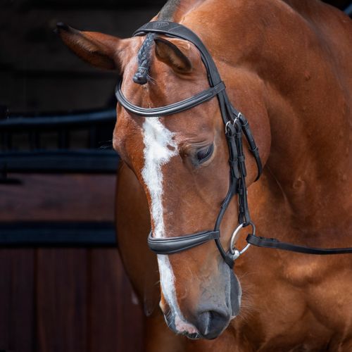 Shires Velociti Rapida Rolled Padded Cavesson Bridle - Black