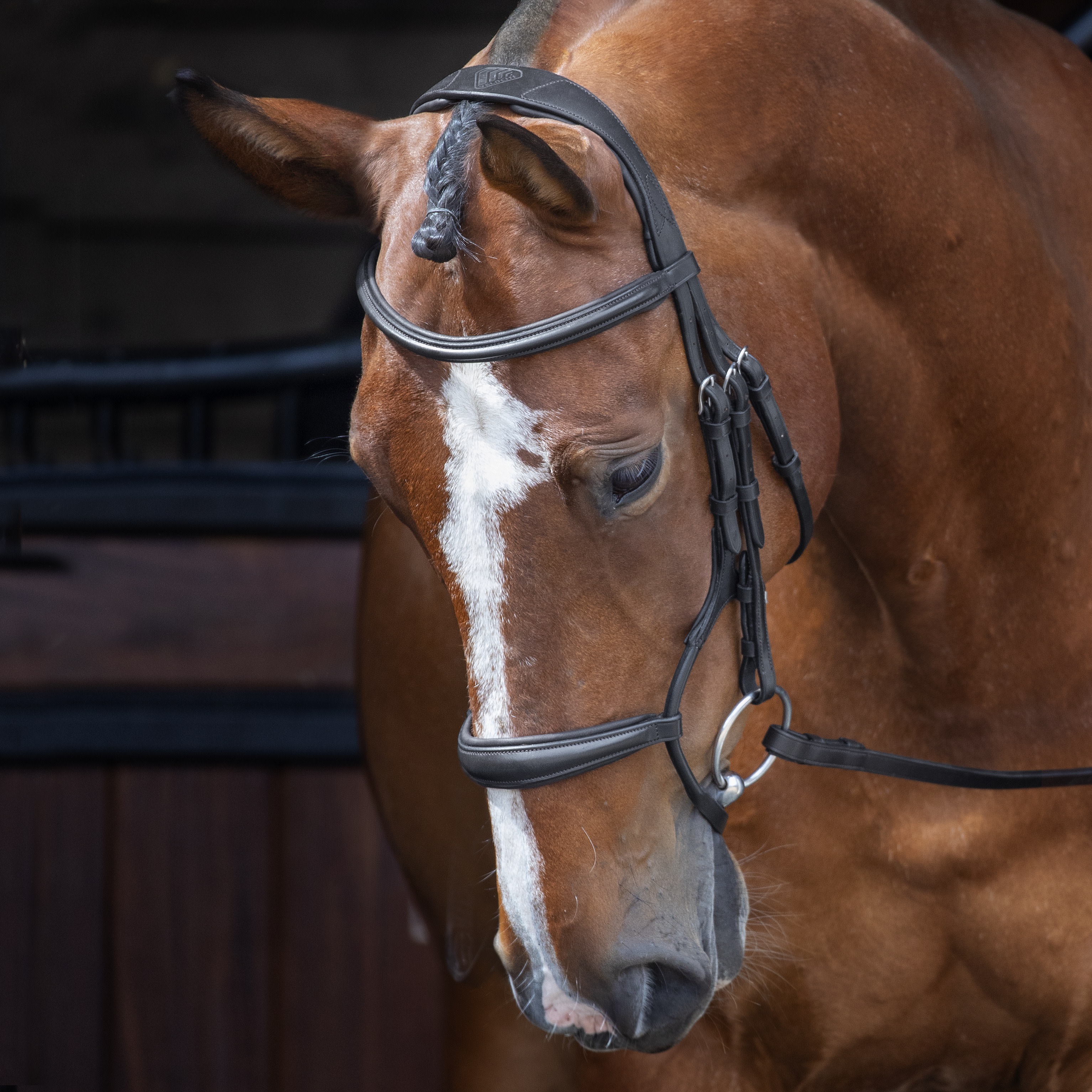 Bridon anatomique pour le saut d'obstacles : têtière confort rembourrée, cuir noir et marron. - France