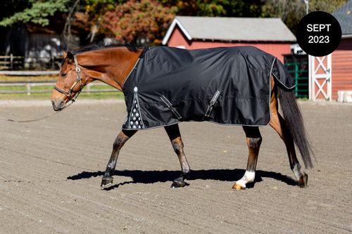Equinavia Norse Light Weight Turnout Blanket 100g - Black