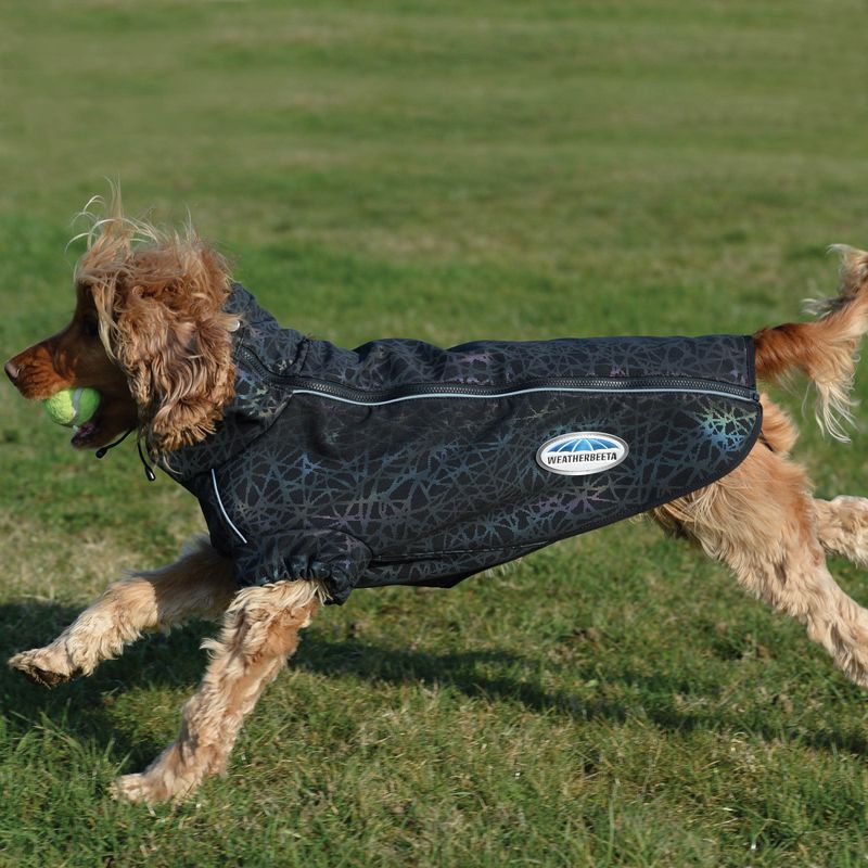 Weatherbeeta reflective outlet dog coat