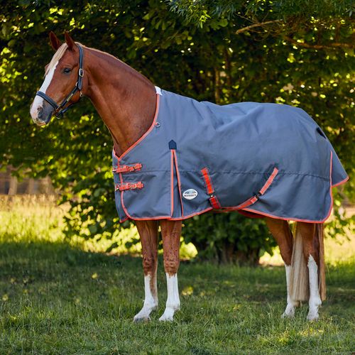 Weatherbeeta Comfitec Essential Plus Standard Neck Lite - Grey/Orange/Blue