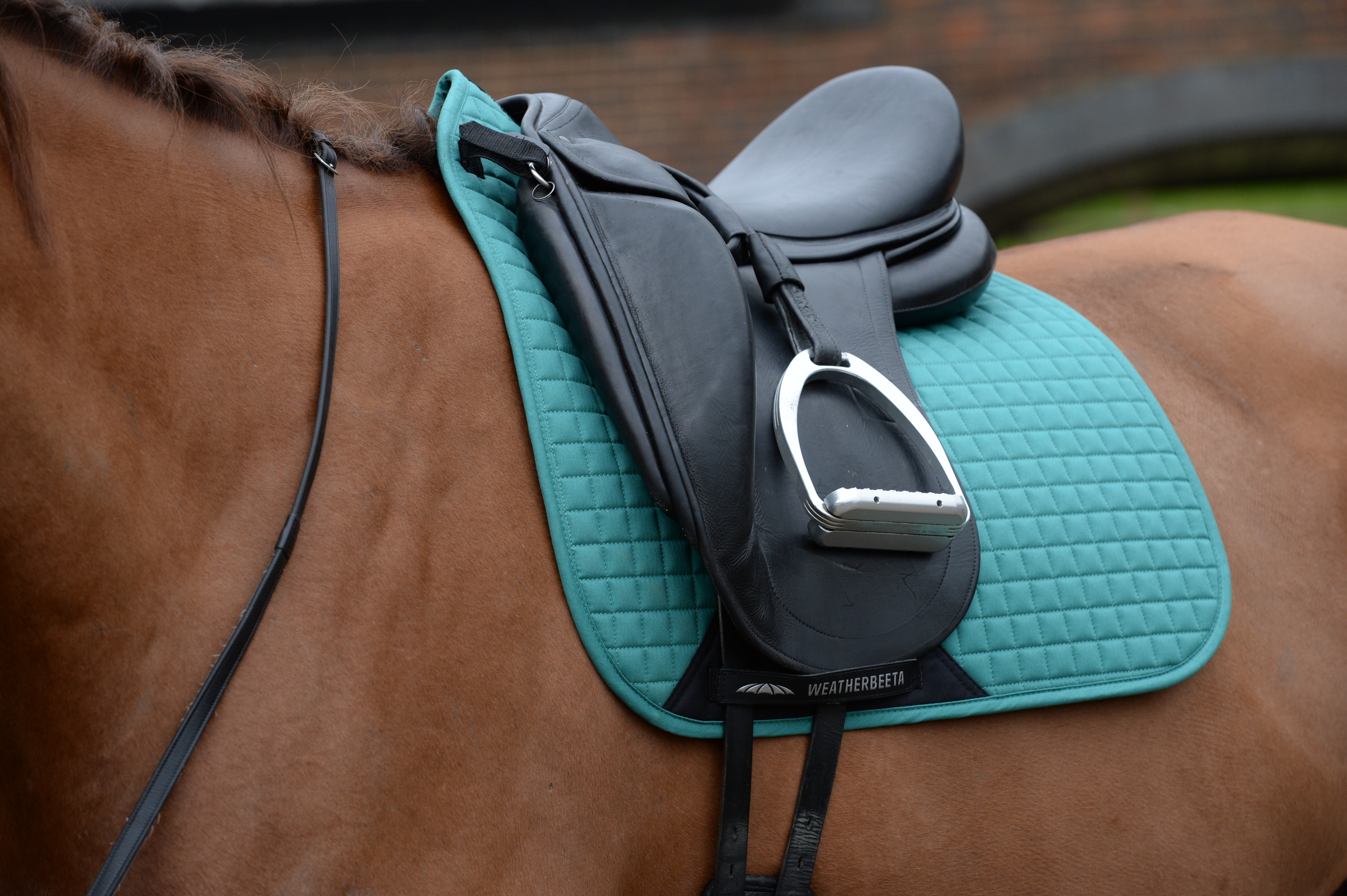 Mint green western online saddle pad