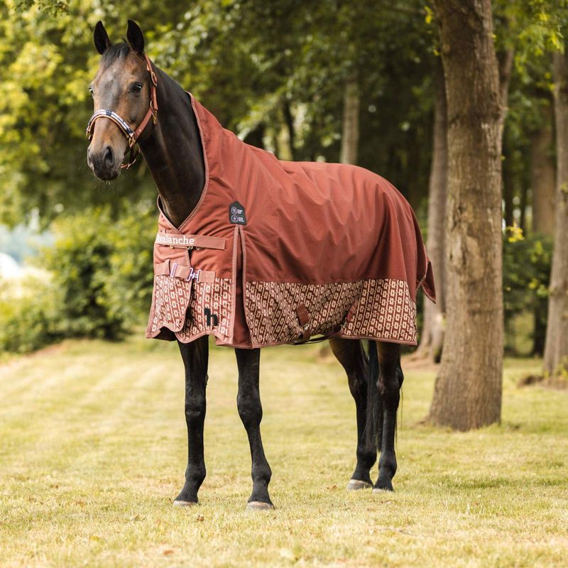 Horze Elastic Horse Blanket Leg Straps 
