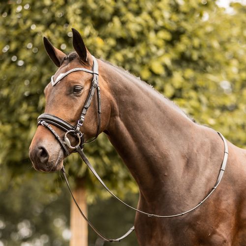 Horze Grayson Classic Dressage Ergonomic Bridle - Black/Black