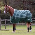 Hunter Green/Plaid